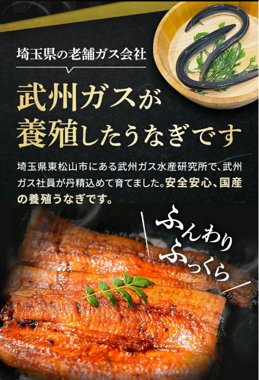 武州うなぎ.png