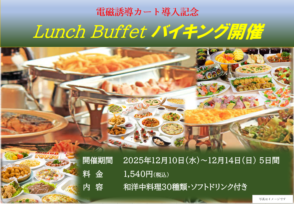 2025 バイキング.png